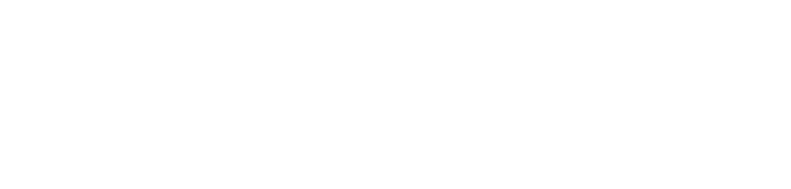 vrednote-mdconsultico-logo-pametne-instalacije-elektroinstalacije-itresitve-vzdrzevanje-objektov