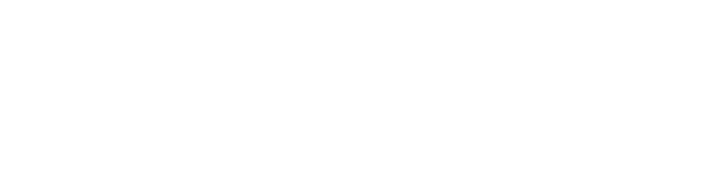 vrednote-mdconsultico-logo-pametne-instalacije-elektroinstalacije-itresitve-vzdrzevanje-objektov